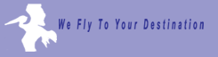 Pelican Mission Statement: We Fly To Your Destination